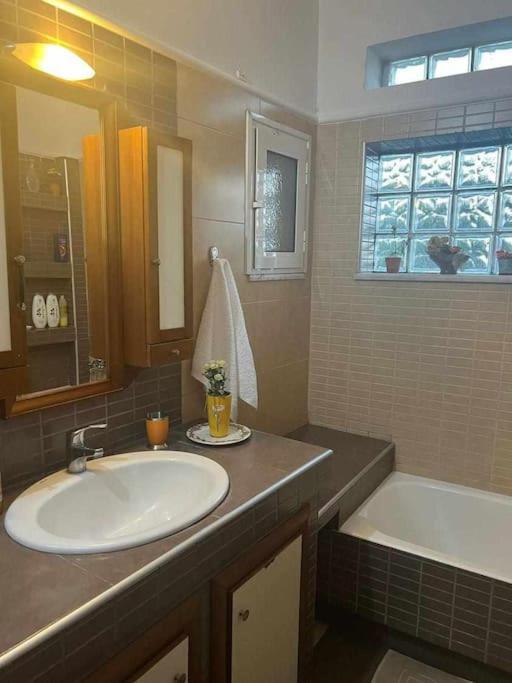 Το Σπίτι Του Μύλου Των Ξωτικών Villa Trikala  Luaran gambar